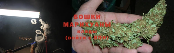индика Балабаново