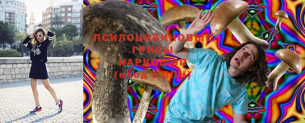 твердый Балахна