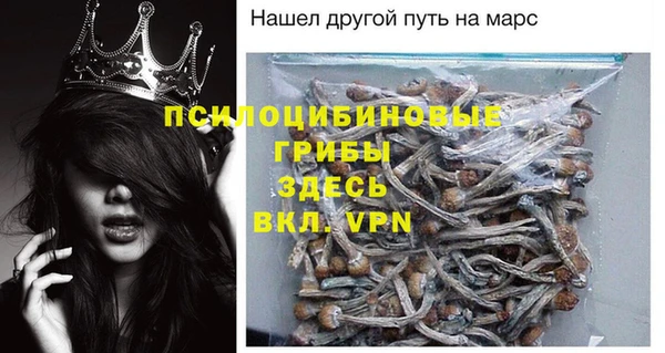 твердый Балахна