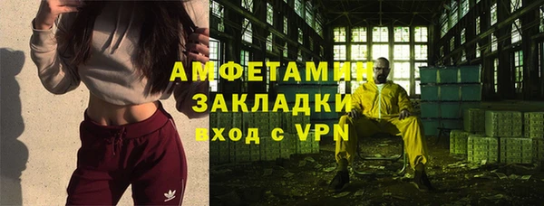 индика Балабаново