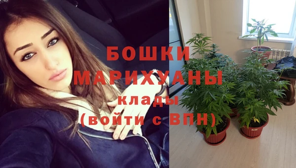 индика Балабаново