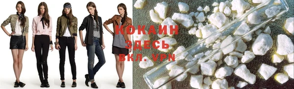 индика Балабаново